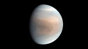 Astrónomos encuentran posibles signos de vida en Venus